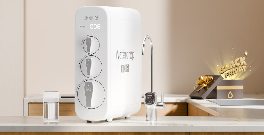 G3P600 Reverse Osmosis System