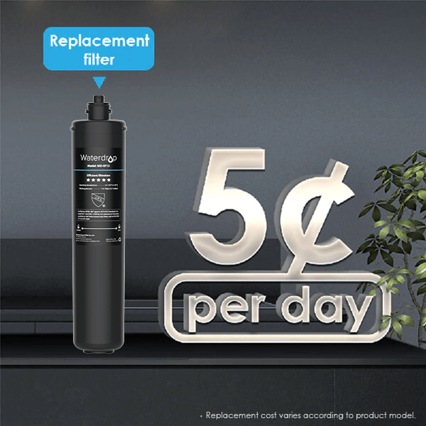 Less Future Replacement Cost