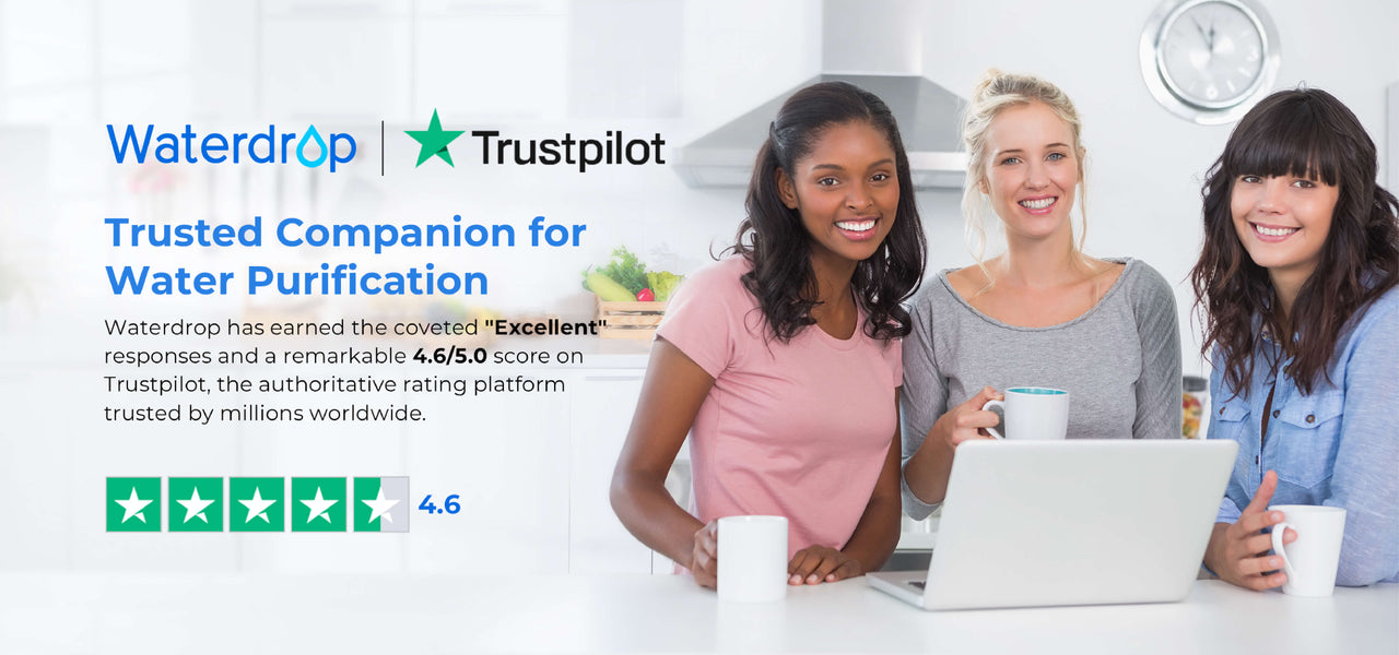 {{ section.settings.alt | default: section.settings.heading | escape }}