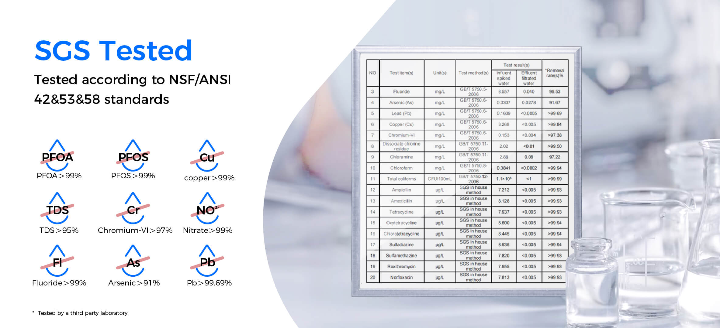 Pellentesque convallis accumsan