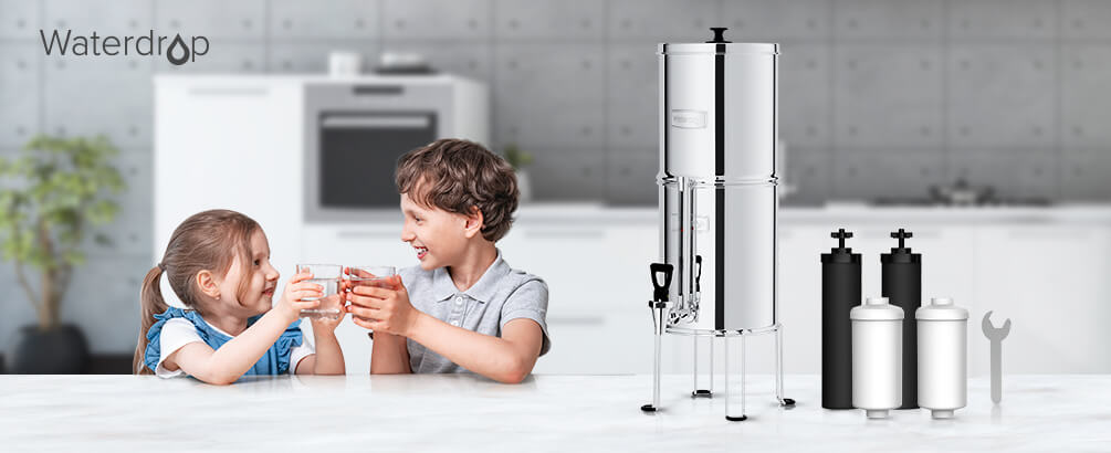 King Tank VS Alexapure Water Filters: Which Gravity Water Filter You Should Get?