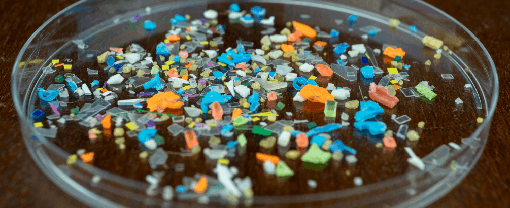 Microplastics in Drinking Water: What You Should Know | Expert Insight
