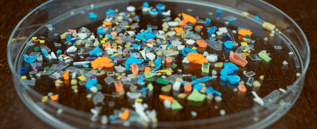 Microplastics in Drinking Water: What You Should Know | Expert Insight