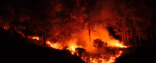 Recent LA Fires Highlight the Need for Emergency Water Safety Solutions