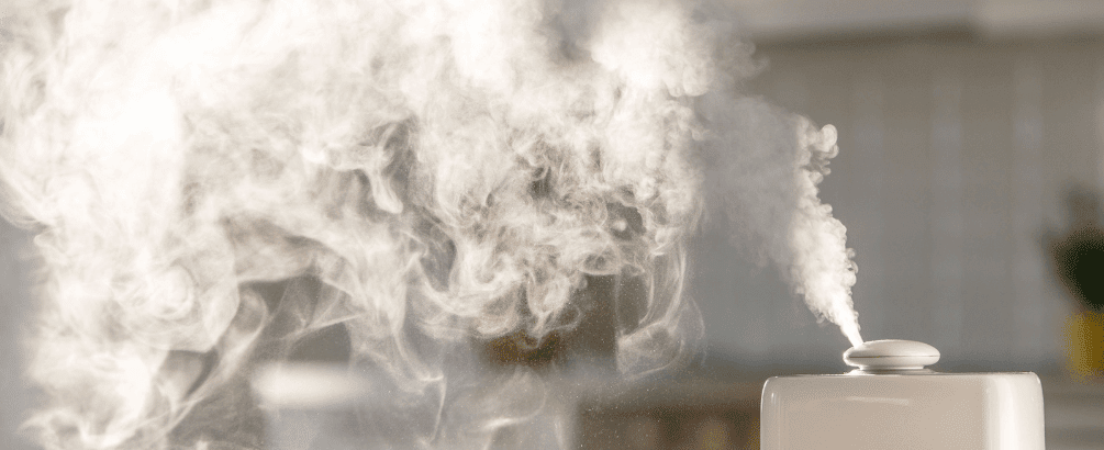 a working humidifier for home