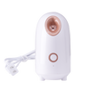 Waterdrop Facial Steamer