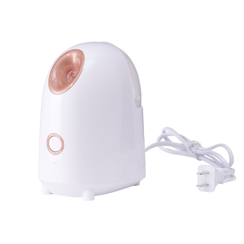 Waterdrop Facial Steamer