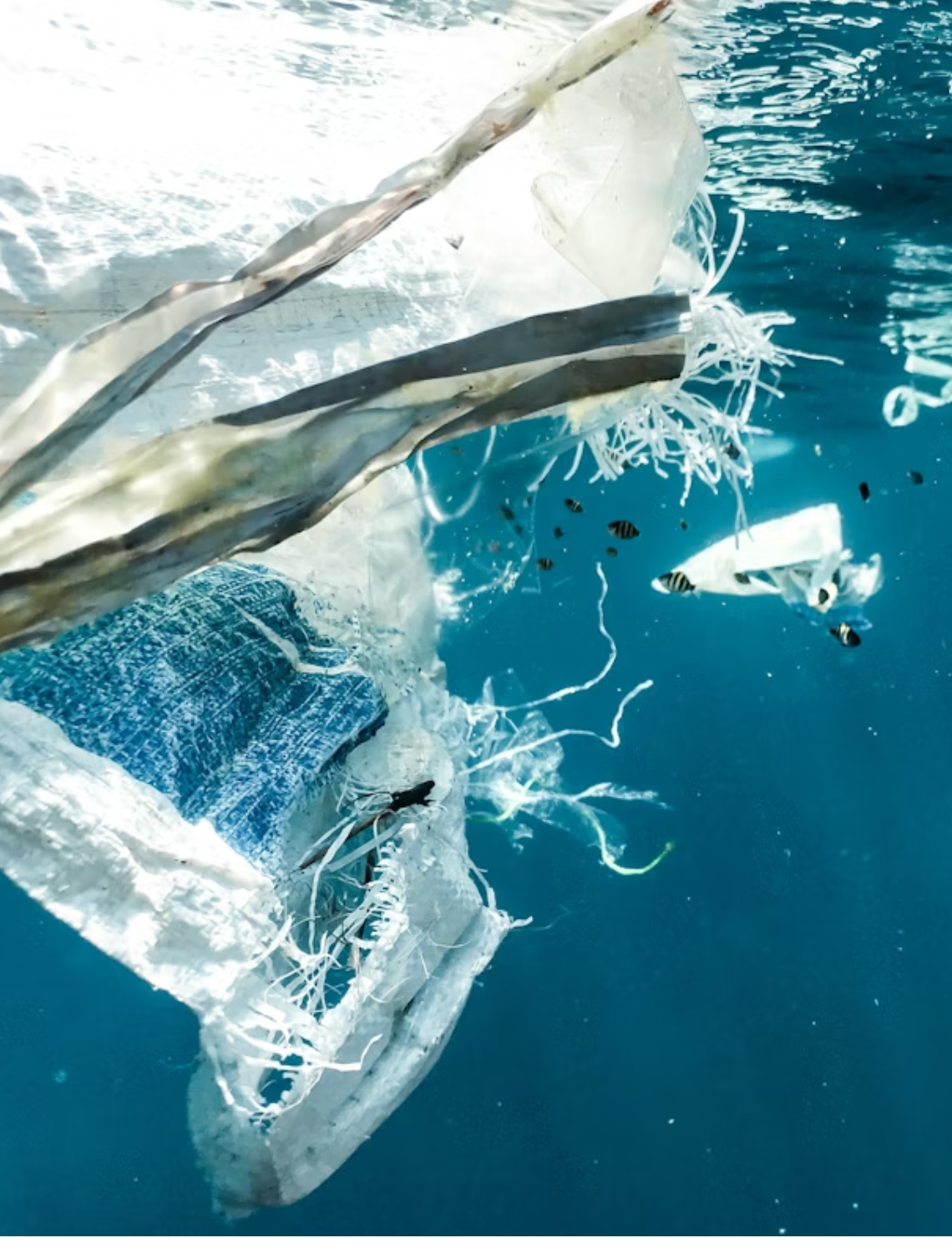 Waterdrop’s 1st Annual Water Quality Survey Shows Microplastics Are the Most Concerning Contaminants