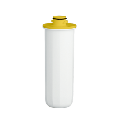 Replacement Filter