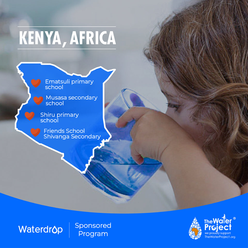 Waterdrop Deionized Water Filter System WD-DI