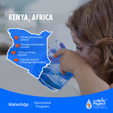 Waterdrop Deionized Water Filter System WD-DI