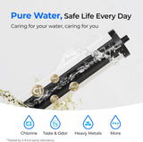 DSC2 Filter Replacement for DST Stainless Steel Under Sink Water Filter System