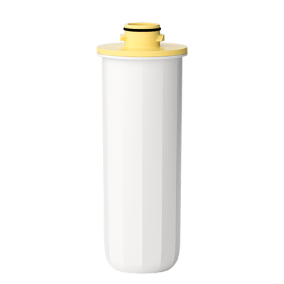 Replacement Filter