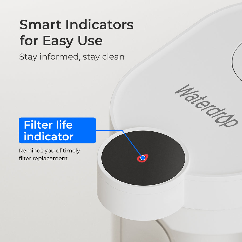 Replacement Filters for Countertop Electric Water Pitcher ED06