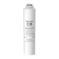 Replacement Filter RT-CB for T4A & T3C