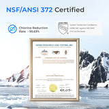 Waterdrop WD-WHF21-PG Whole House Water Filtration System with Iron and Manganese Removal Filter Cartridges