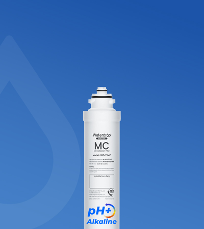 Y1MC