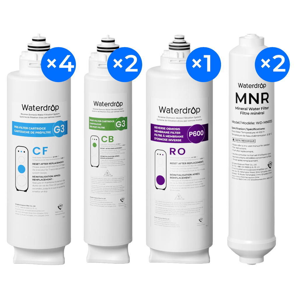 Two-Years Remineralization Replacement Filter Set for G3P600