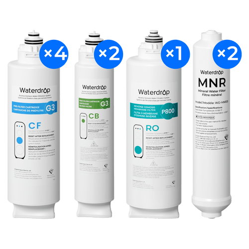 Two-Years Remineralization Replacement Filter Set for G3P800