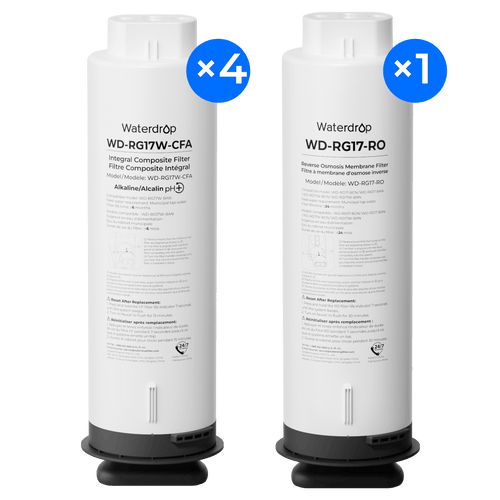 Two-Years Replacement Filter Bundle for G5P700A