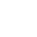 100% Authentic Products