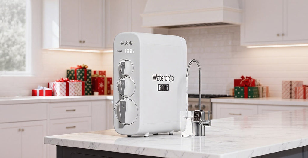 G3P600 Reverse Osmosis System