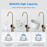 Waterdrop G3P800 Undersink Tankless Reverse Osmosis System - Gold Faucet