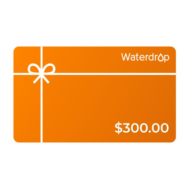 $300 Gift Card
