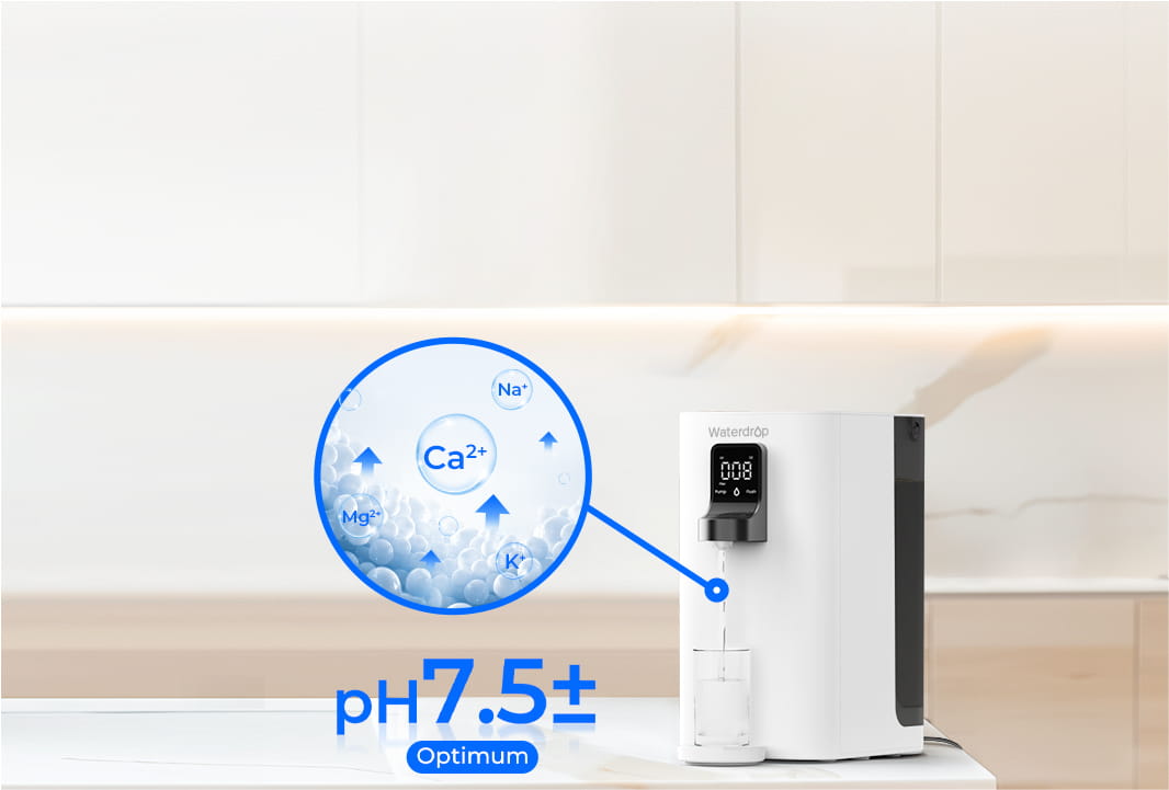 Alkaline Mineralization
