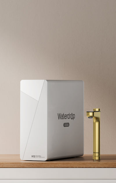 X12-Gold