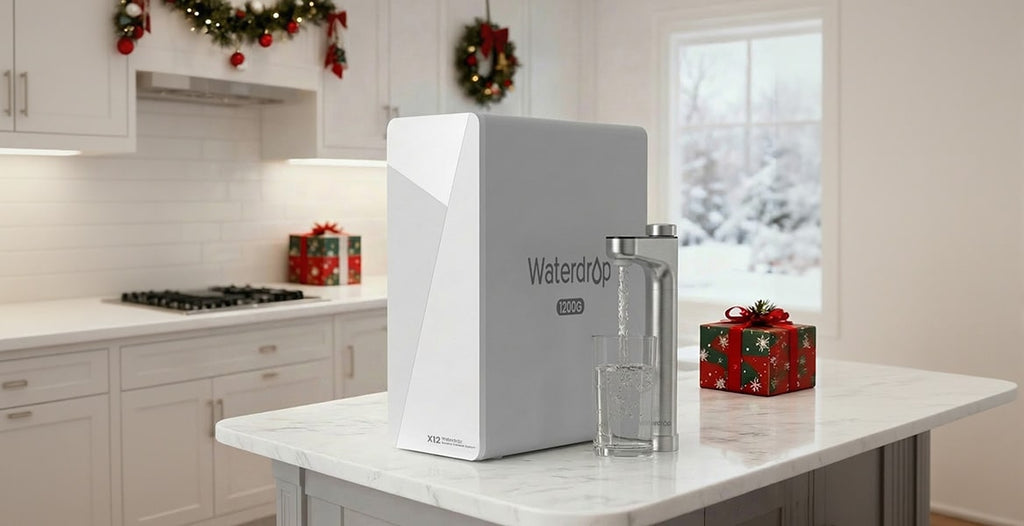 X12 Reverse Osmosis System