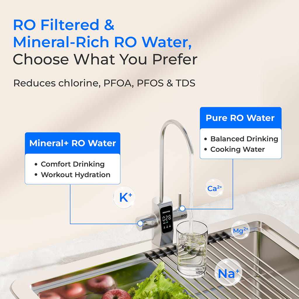 Waterdrop X12D-Plus Dual Flow Alkaline Reverse Osmosis Water Filter