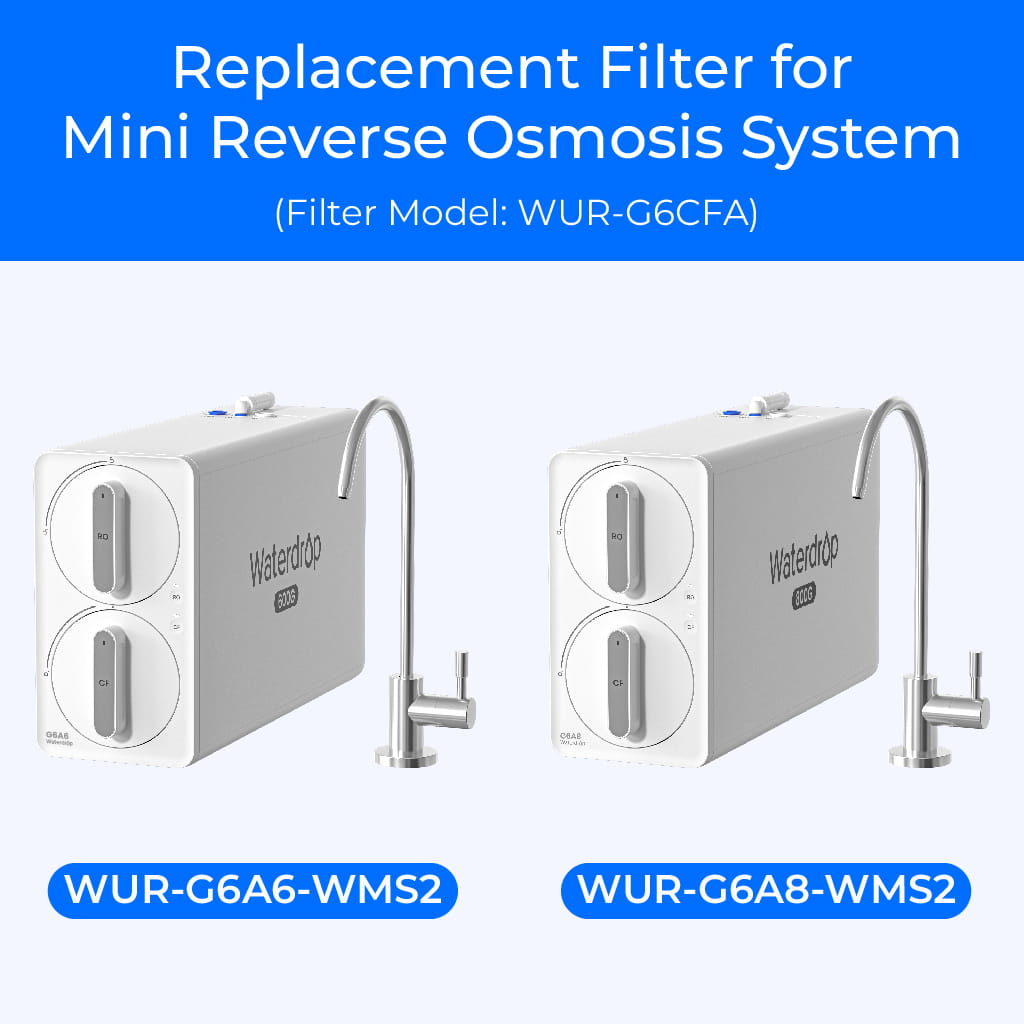 G6CFA Replacement Filter for G6 Series Undersink RO System