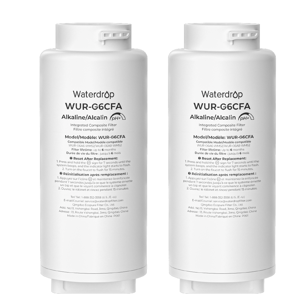 G6CFA Replacement Filter for G6 Series Undersink RO System
