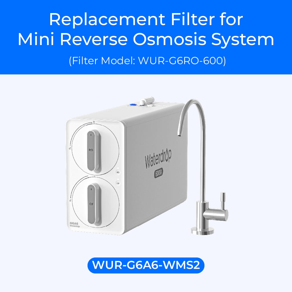 G6RO Replacement Filter for G6A6 Undersink RO System
