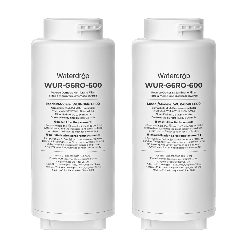 G6RO Replacement Filter for G6A6 Undersink RO System