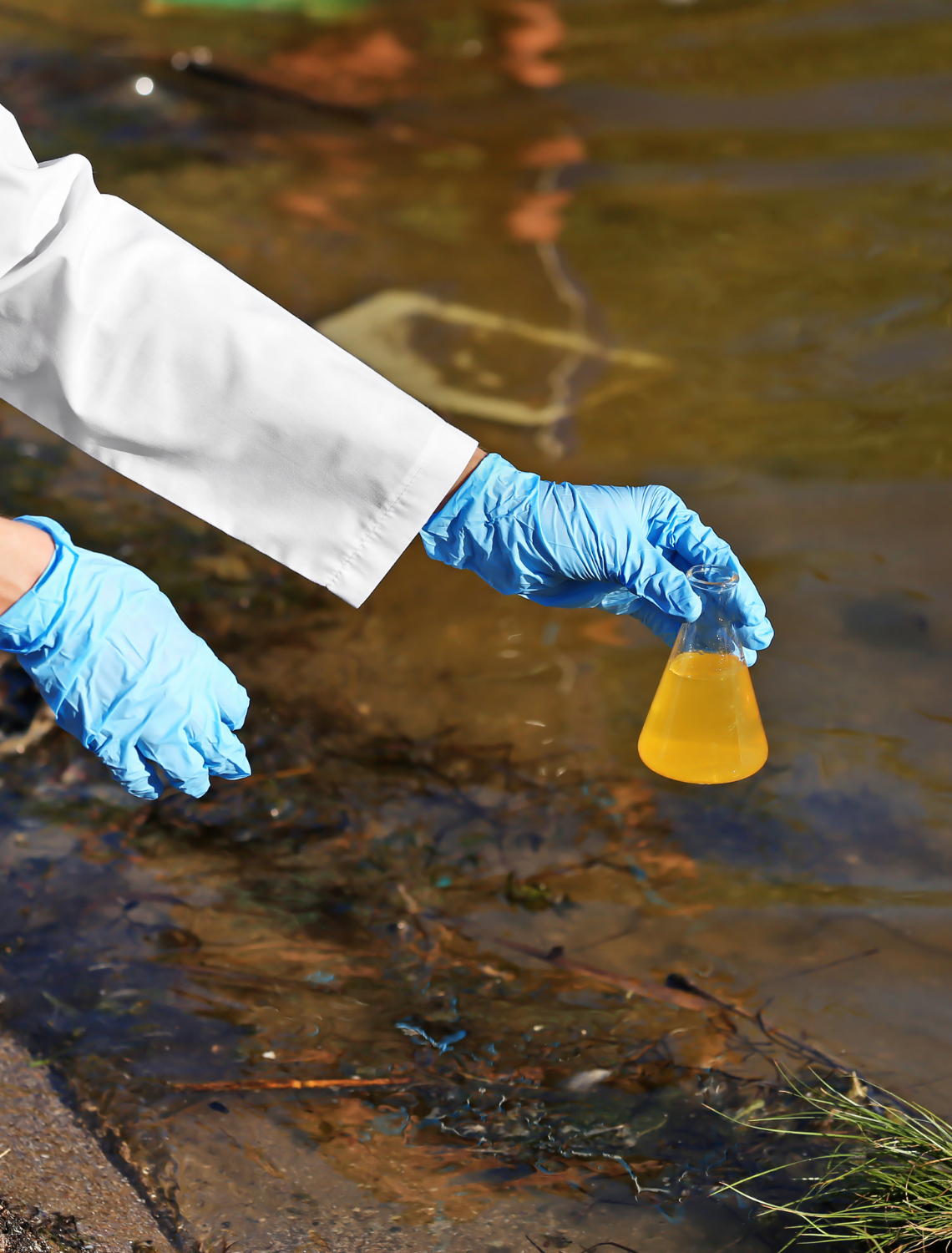 Celebrating National Water Quality Month with Waterdrop