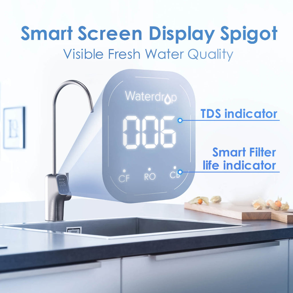 G3P800 RO System with an Extra Two-Year Filter Combo