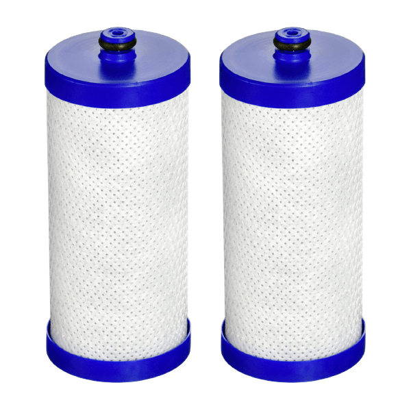 Waterdrop Replacement for Frigidaire RG100 NGRG2000 Refrigerator Water Filter